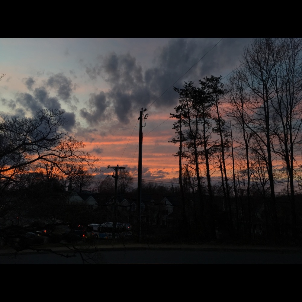 Meet your Posher, Helen